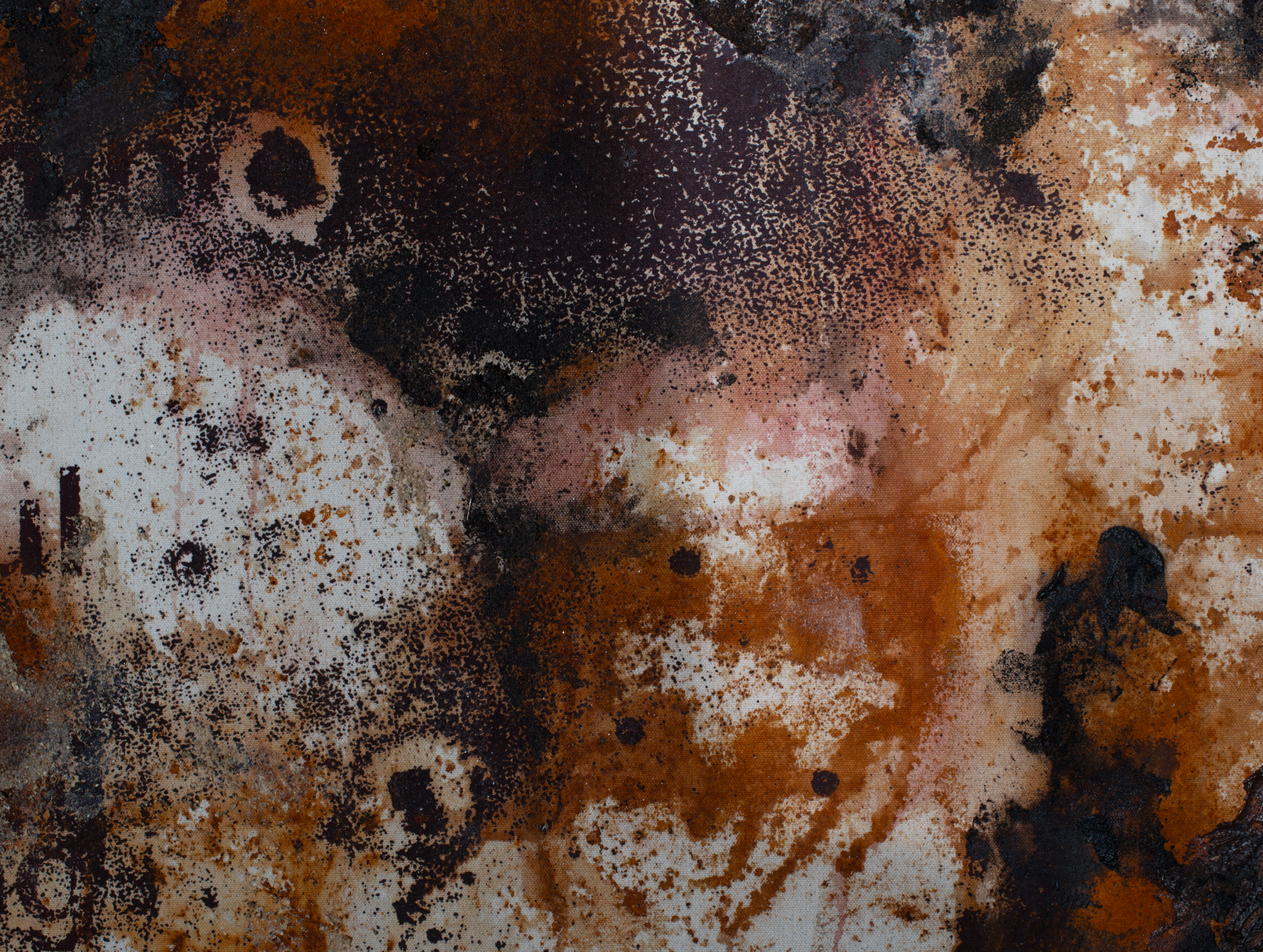 Screen-print, rust canvas