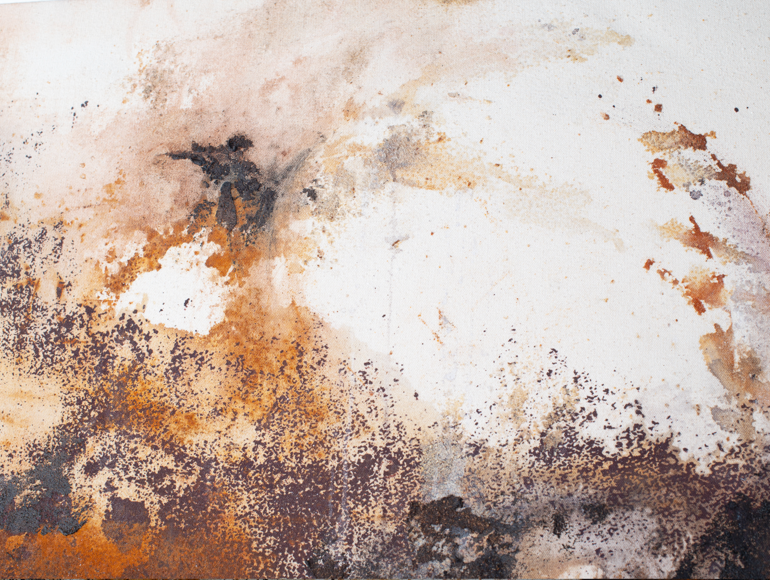 Screen-print, rust canvas