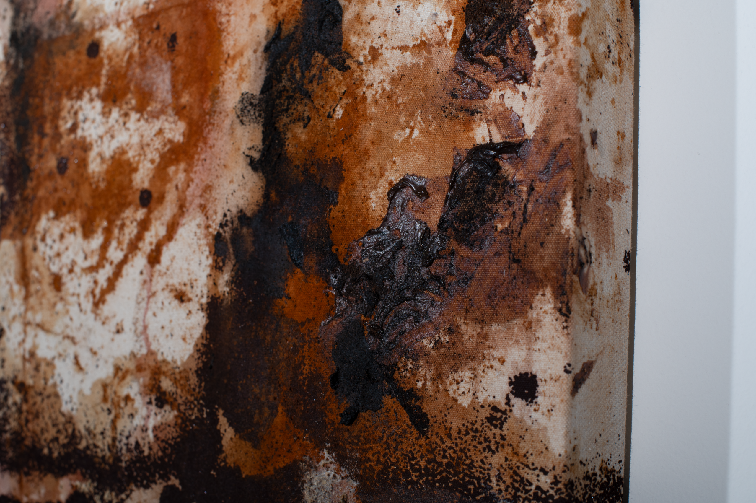Screen-print, rust canvas